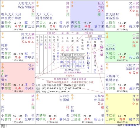 星橋紫微斗數|星僑免費紫微論命